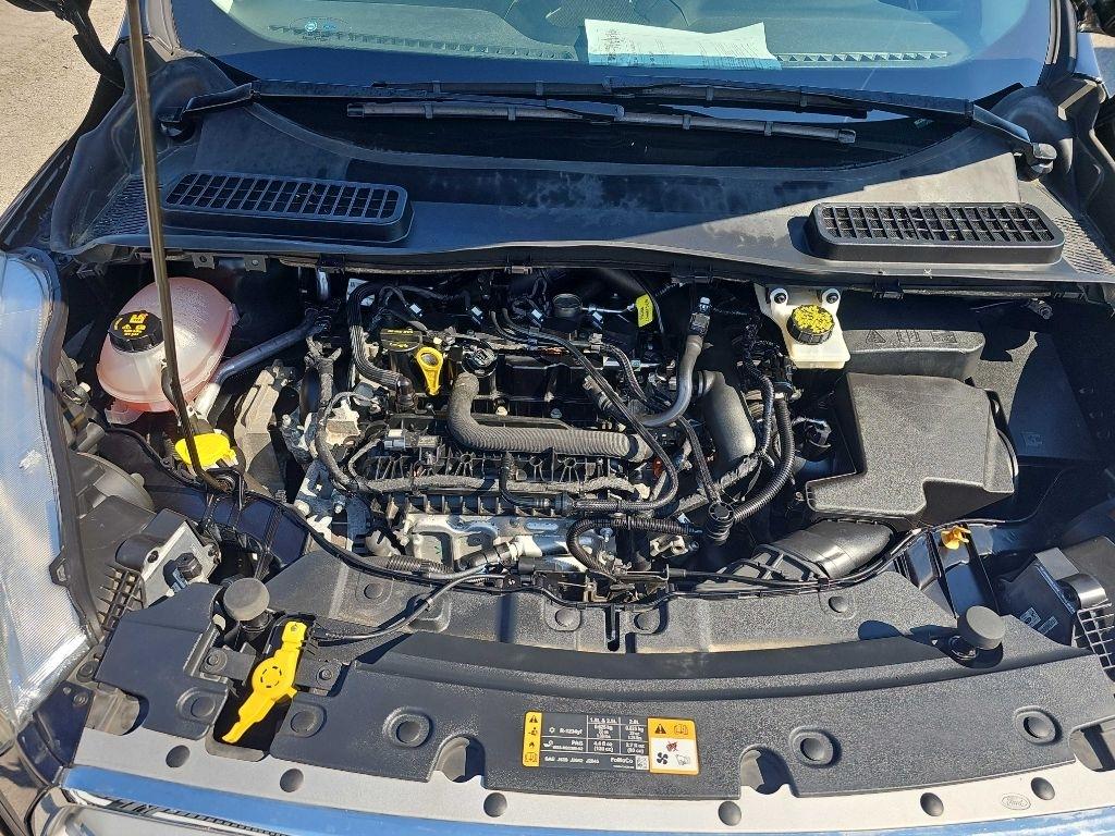 Ford Escape SEL FWD 2019