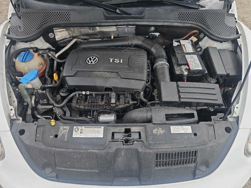 Volkswagen Beetle Convertible 2dr Auto 1.8T S 2016