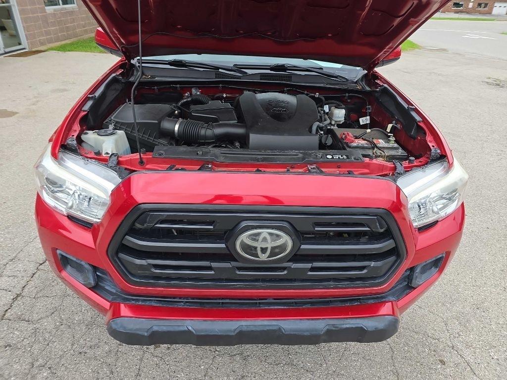 Toyota Tacoma 2WD SR5 Access Cab 6' Bed V6 AT (Natl) 2019
