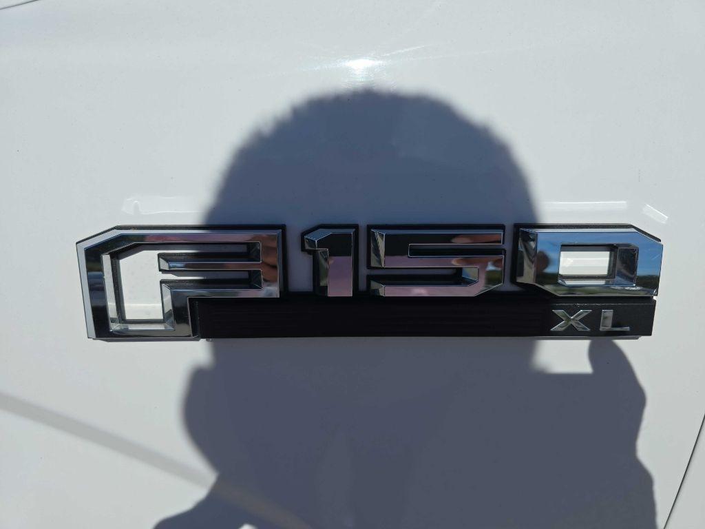 Ford F-150 XLT 2WD SuperCab 6.5' Box 2019