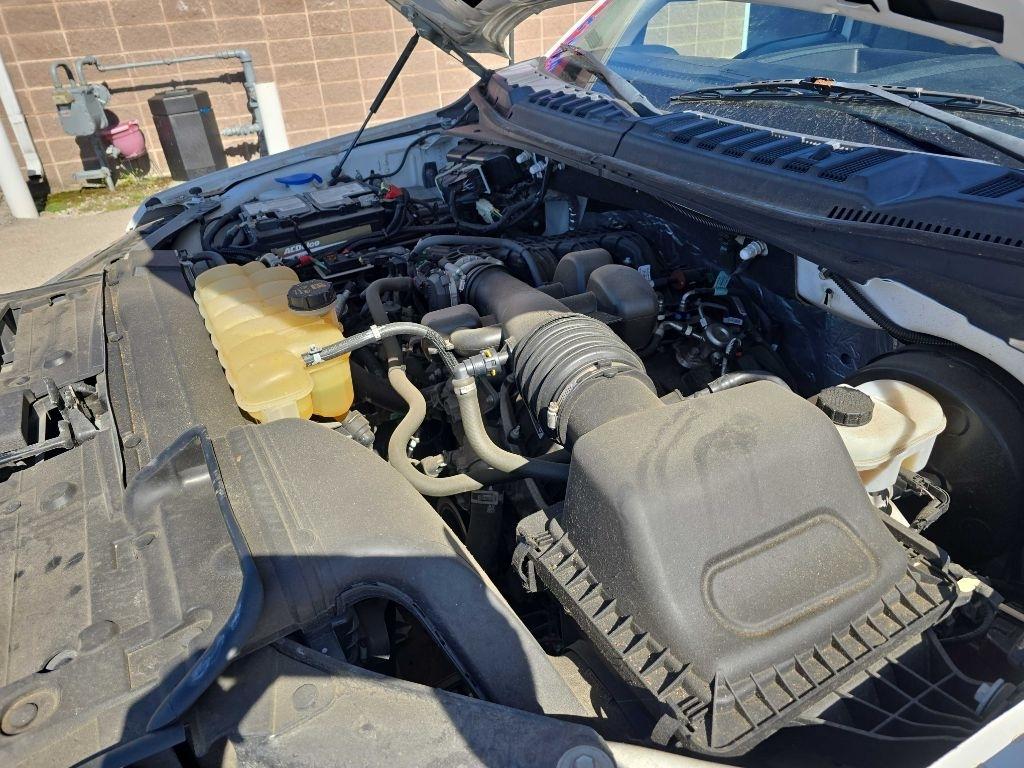 Ford F-150 XLT 2WD SuperCab 6.5' Box 2019