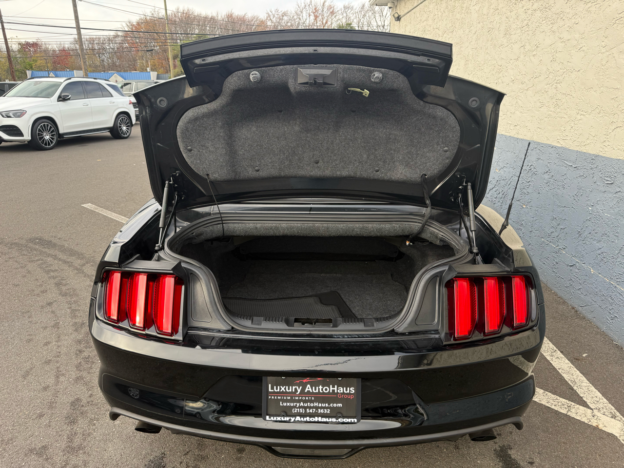 Ford Mustang 2dr Conv EcoBoost Premium 2015