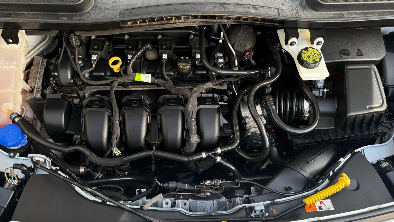 Ford Transit Connect Wagon XL LWB w/Rear Symmetrical Doors 2020