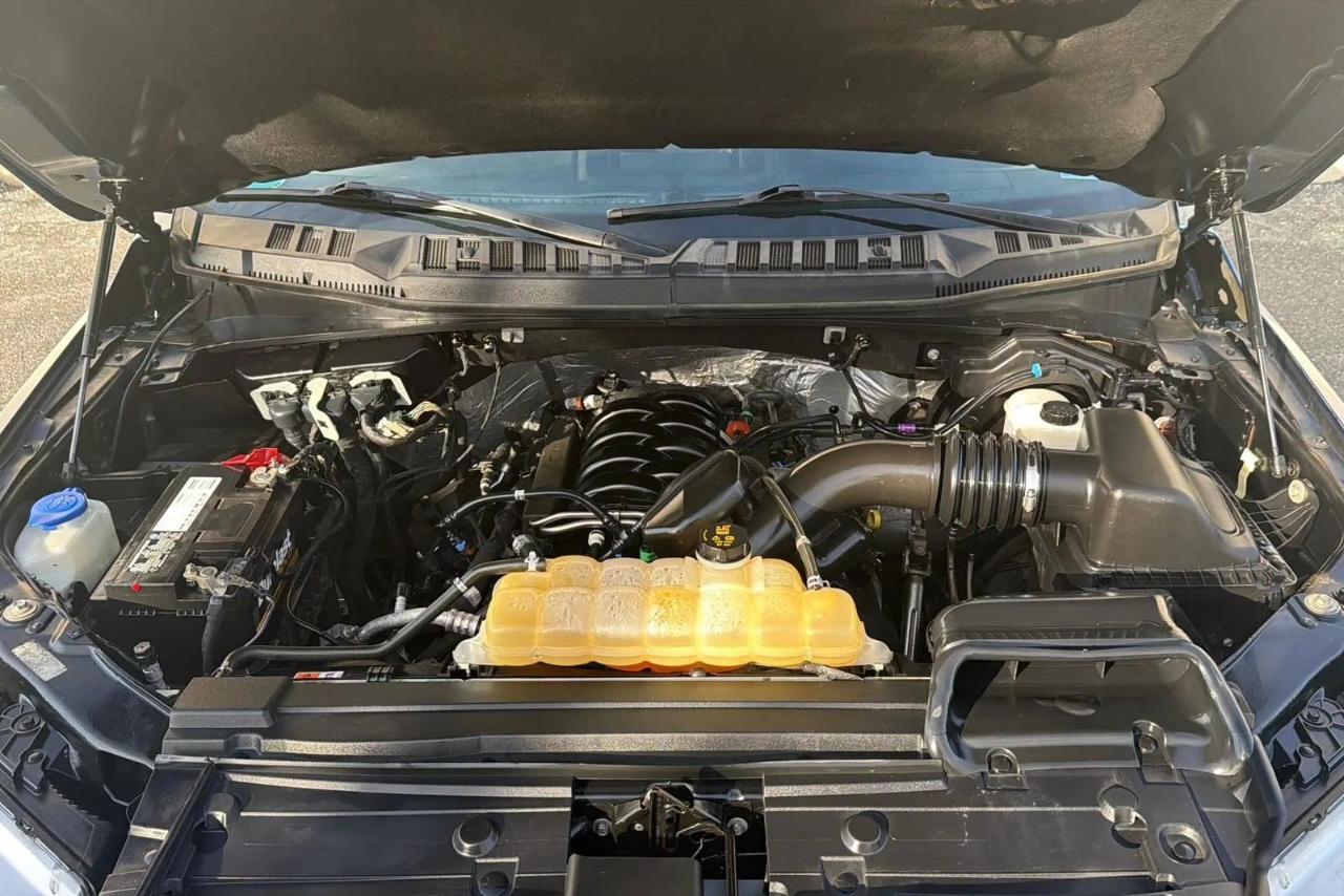 Ford F-150 King Ranch 4WD SuperCrew 5.5' Box 2019