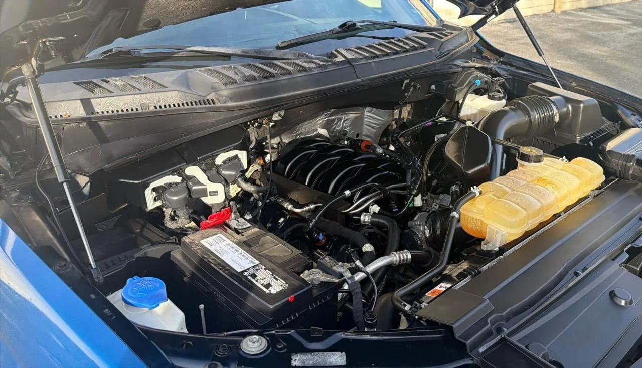 Ford F-150 King Ranch 4WD SuperCrew 5.5' Box 2019