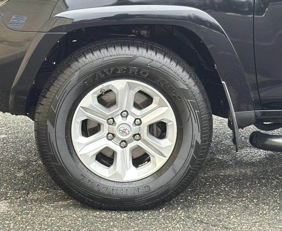 Toyota 4Runner 4WD 4dr V6 Trail Premium (Natl) 2015