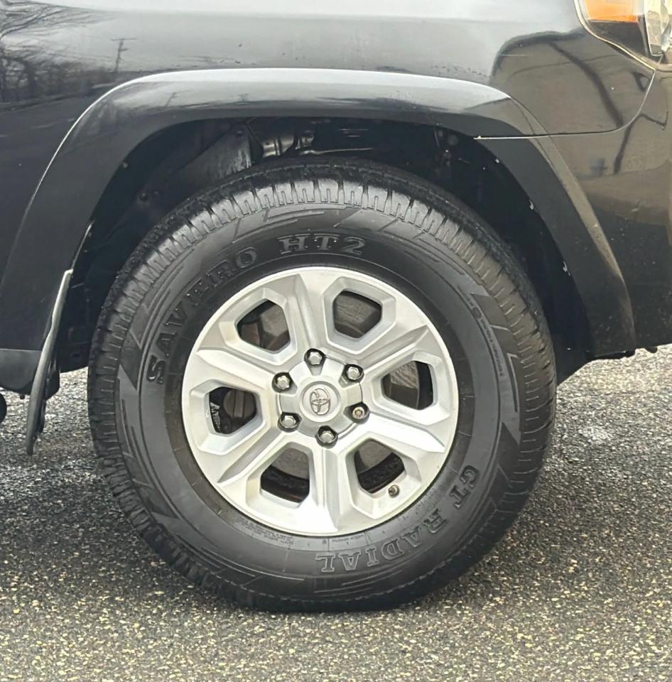 Toyota 4Runner 4WD 4dr V6 Trail Premium (Natl) 2015