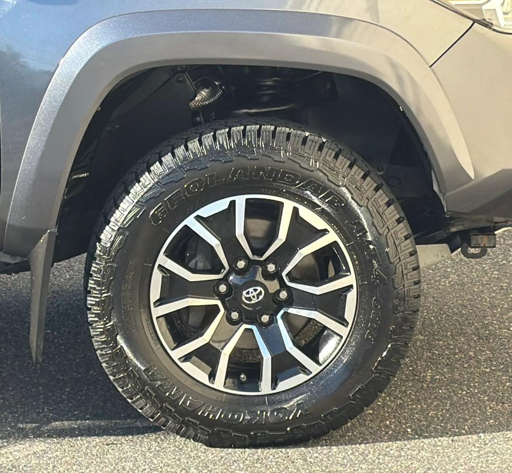 Toyota Tacoma 4WD TRD Off Road Double Cab 5' Bed V6 MT (Natl) 2020