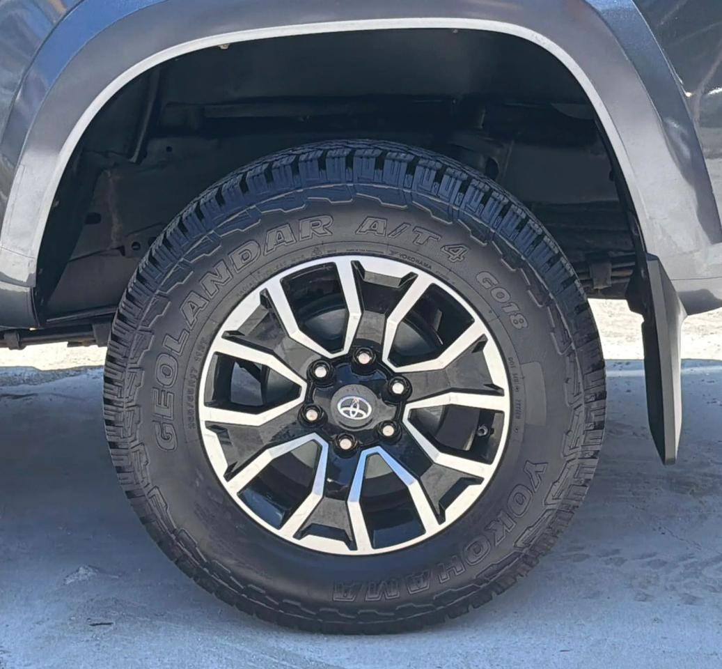 Toyota Tacoma 4WD TRD Off Road Double Cab 5' Bed V6 MT (Natl) 2020