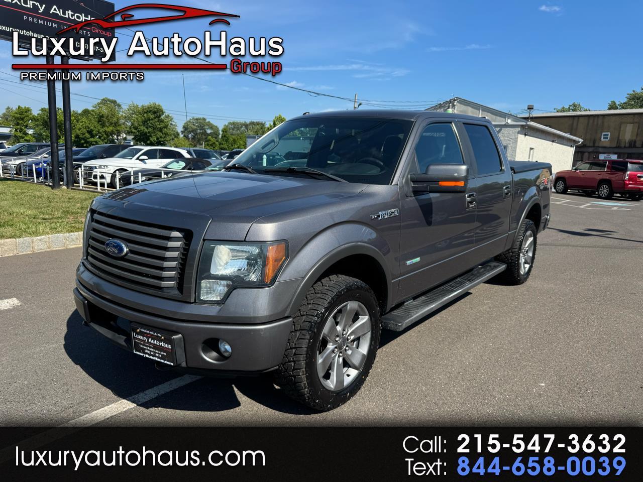 Ford F-150 4WD SuperCrew 145" Platinum 2011