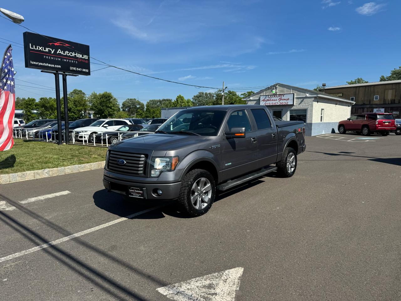 Ford F-150 4WD SuperCrew 145" Platinum 2011