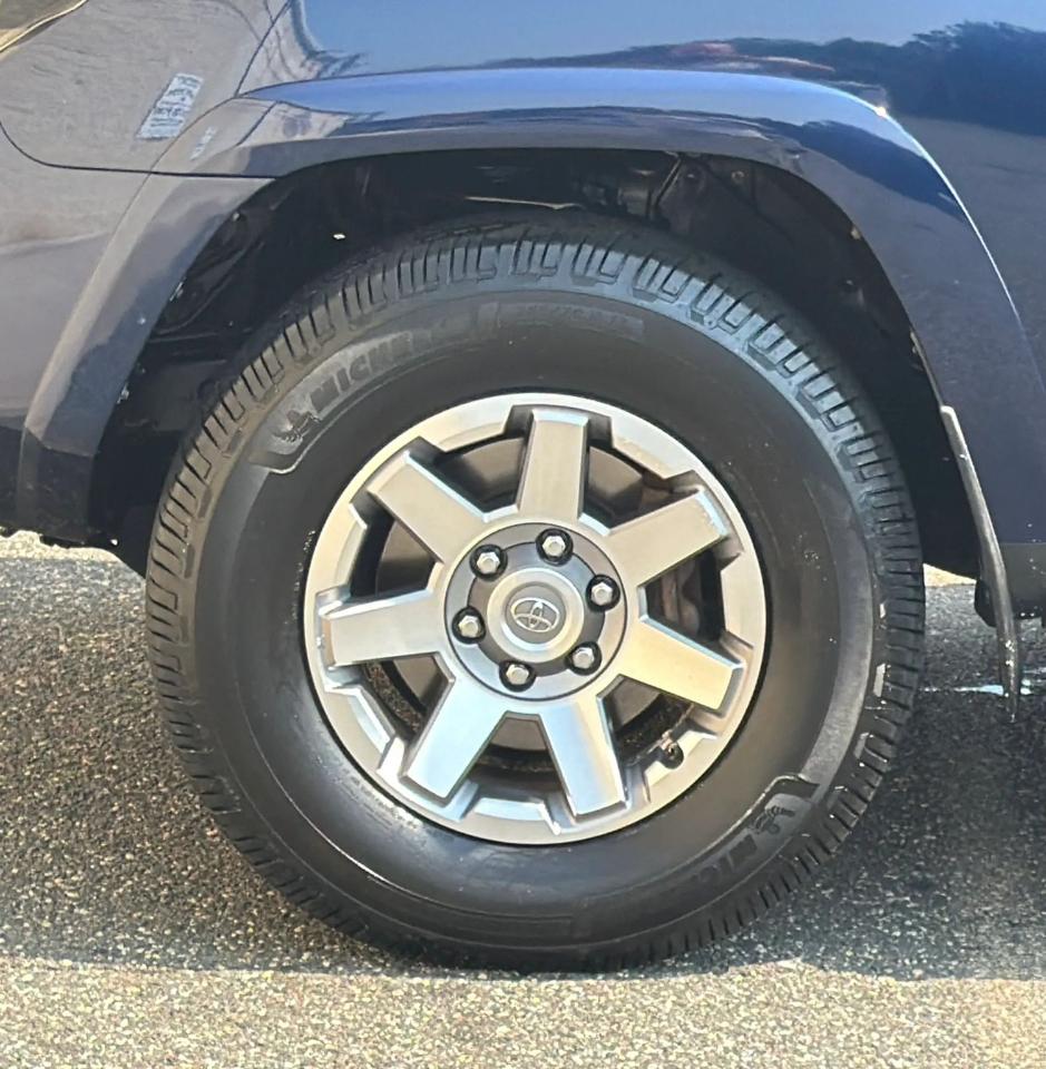 Toyota 4Runner 4WD 4dr V6 Trail Premium (Natl) 2016