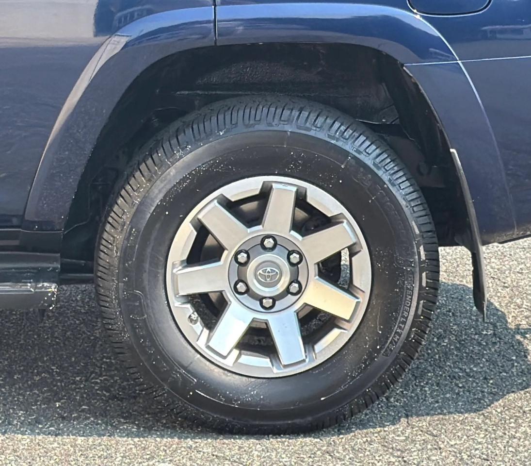 Toyota 4Runner 4WD 4dr V6 Trail Premium (Natl) 2016