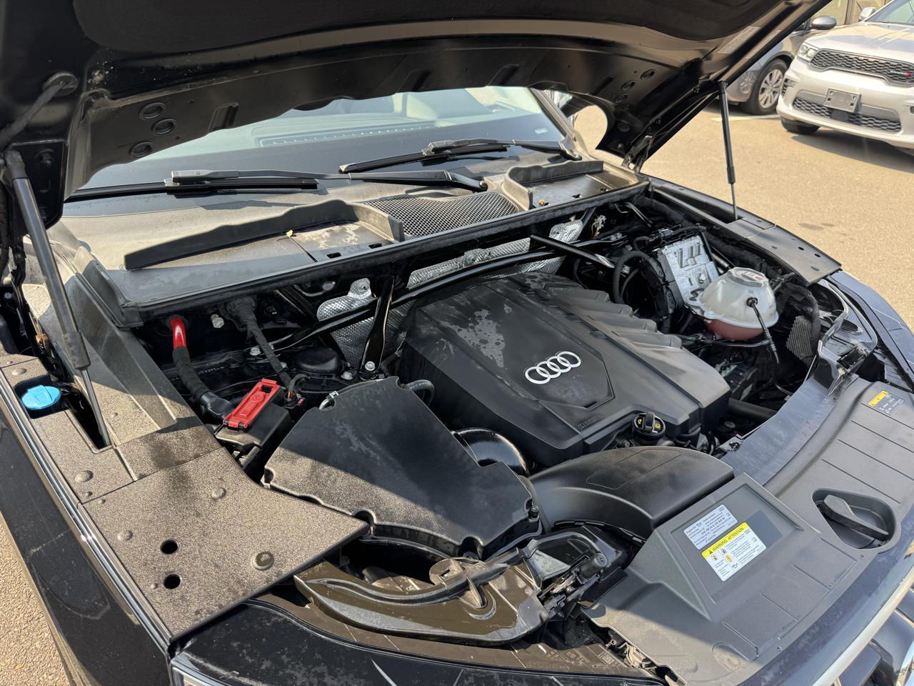 Audi Q5 Premium Plus 45 TFSI quattro 2021