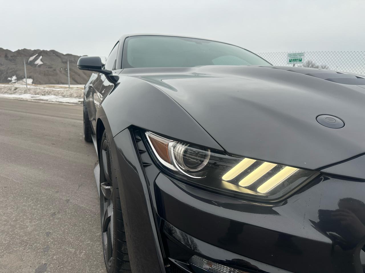 Ford Shelby GT500 Coupe 2022