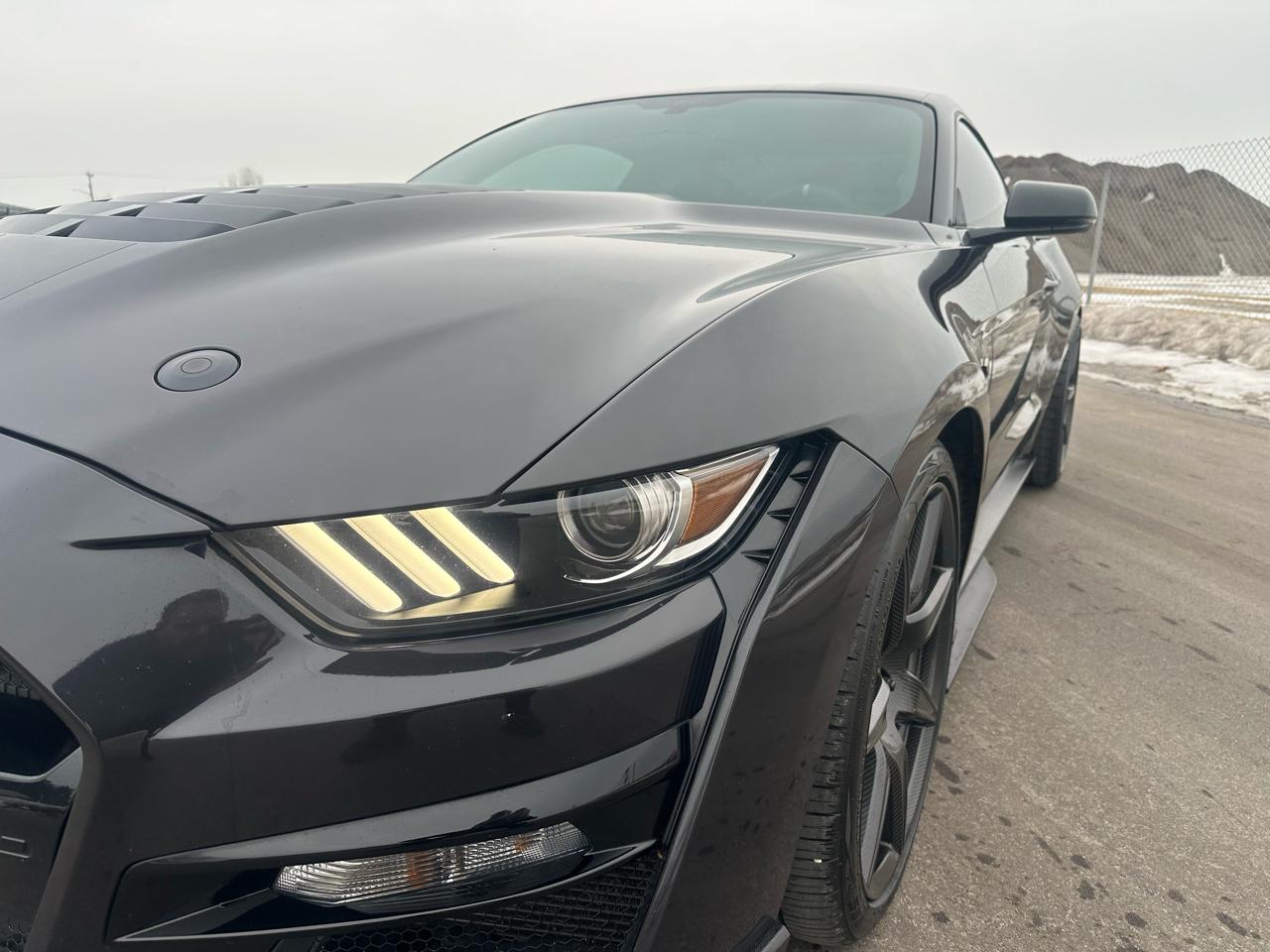 Ford Shelby GT500 Coupe 2022