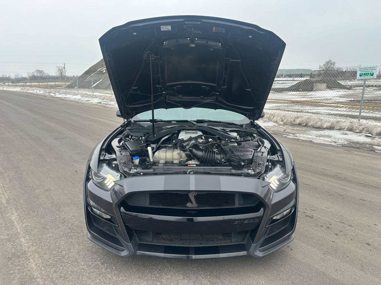 Ford Shelby GT500 Coupe 2022