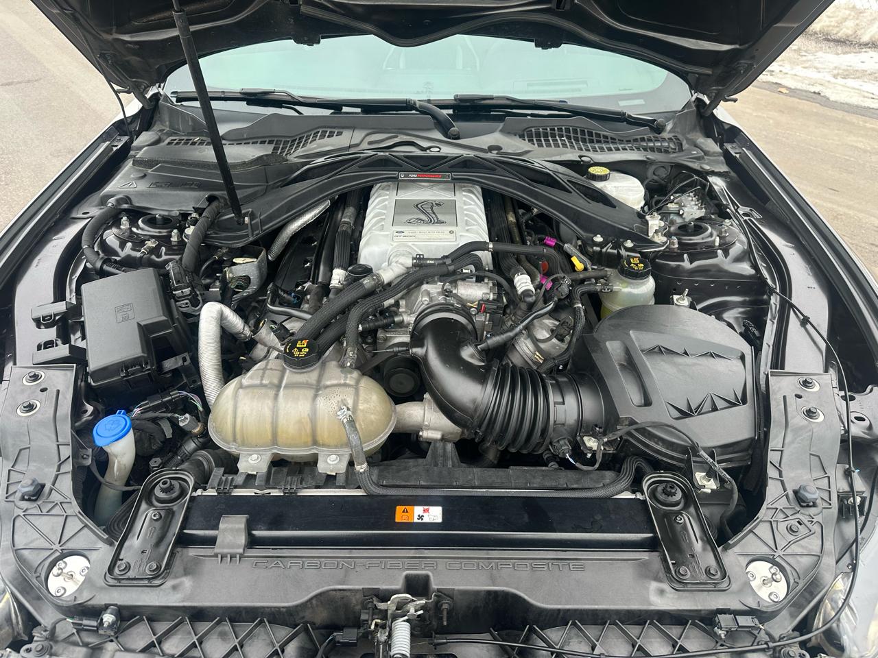 Ford Shelby GT500 Coupe 2022