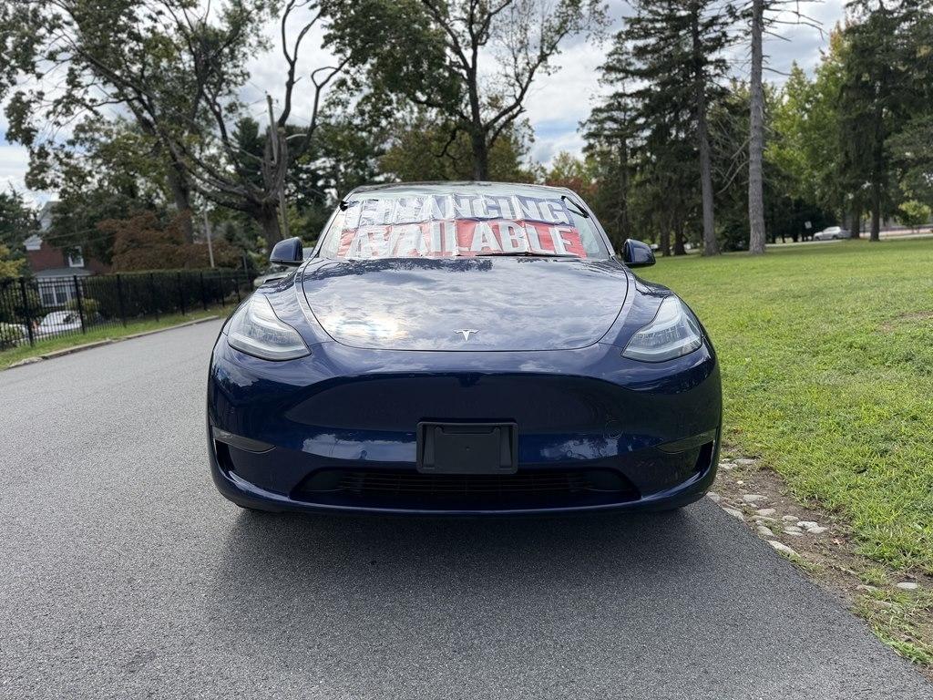 Tesla Model Y photo 2