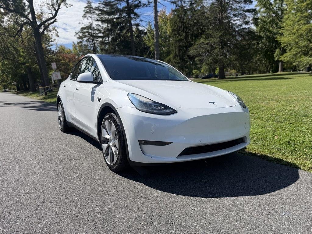 Tesla Model Y photo 2