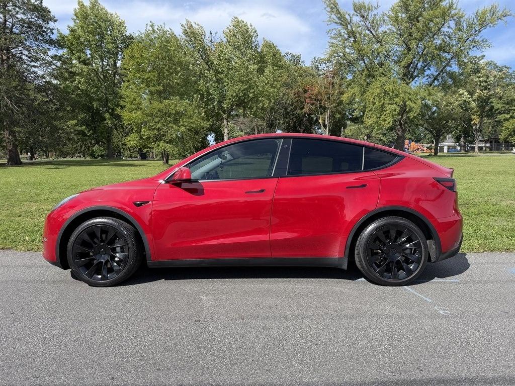 Tesla Model Y  2021