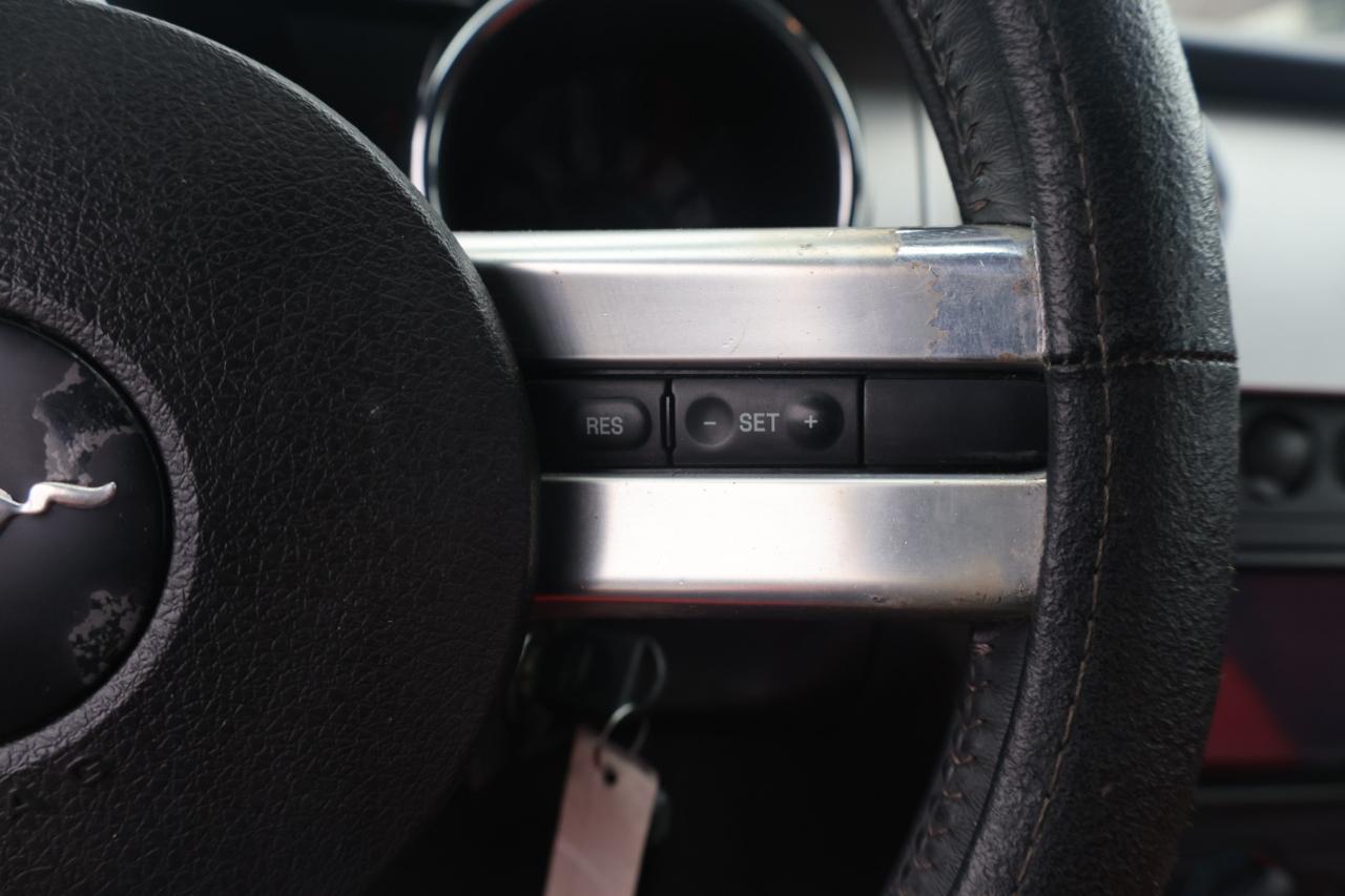 Ford Mustang GT Deluxe Coupe 2006