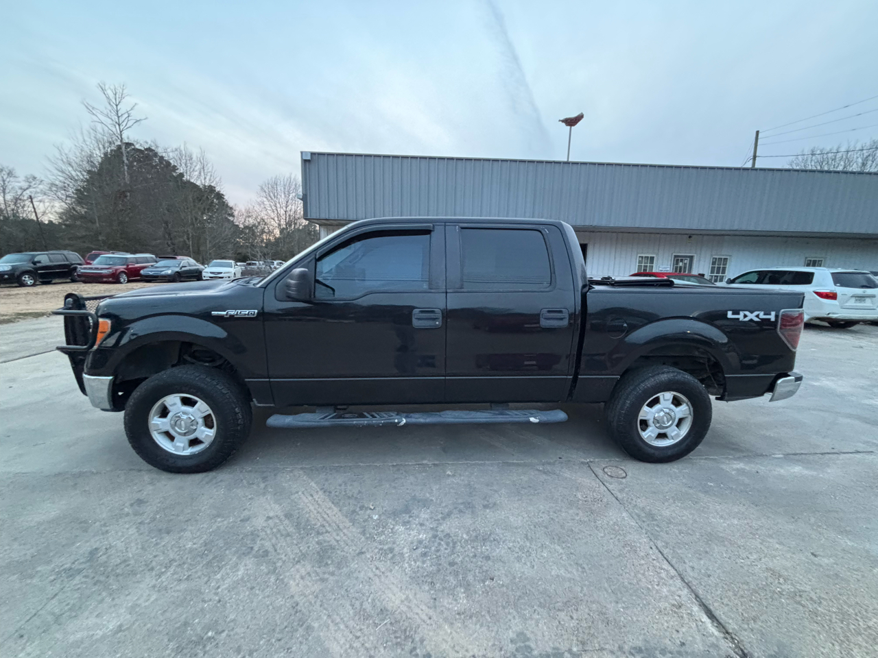 Ford F-150 4WD SuperCrew 145" Platinum 2012