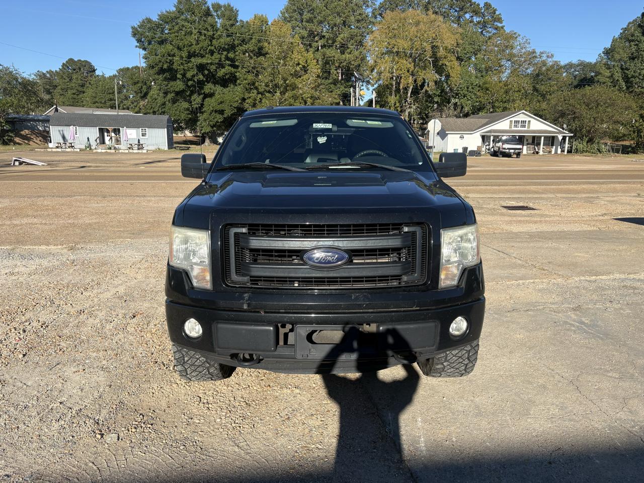 Ford F-150 4WD SuperCrew 145" Platinum 2014