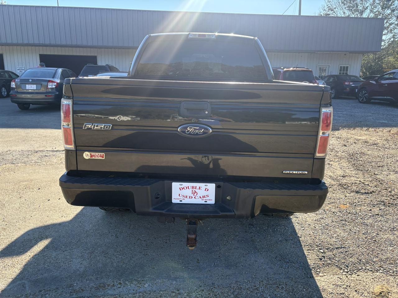 Ford F-150 4WD SuperCrew 145" Platinum 2014