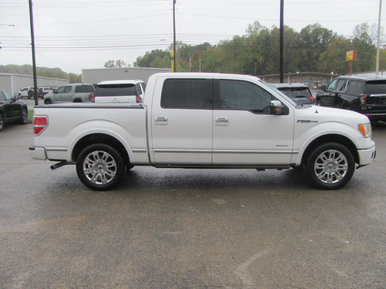 Ford F-150 Platinum 2WD SuperCrew 6.5' Box 2011 Ford F-150 Platinum 2WD SuperCrew 6.5' Box 2011