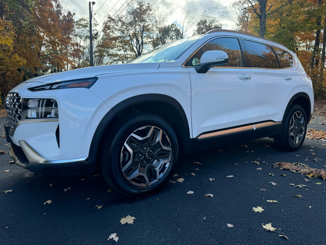 2021 Hyundai Santa Fe Hybrid SEL Premium