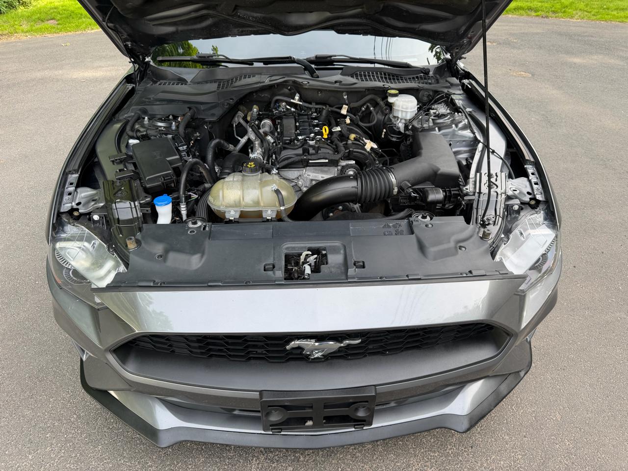 Ford Mustang EcoBoost Coupe 2021