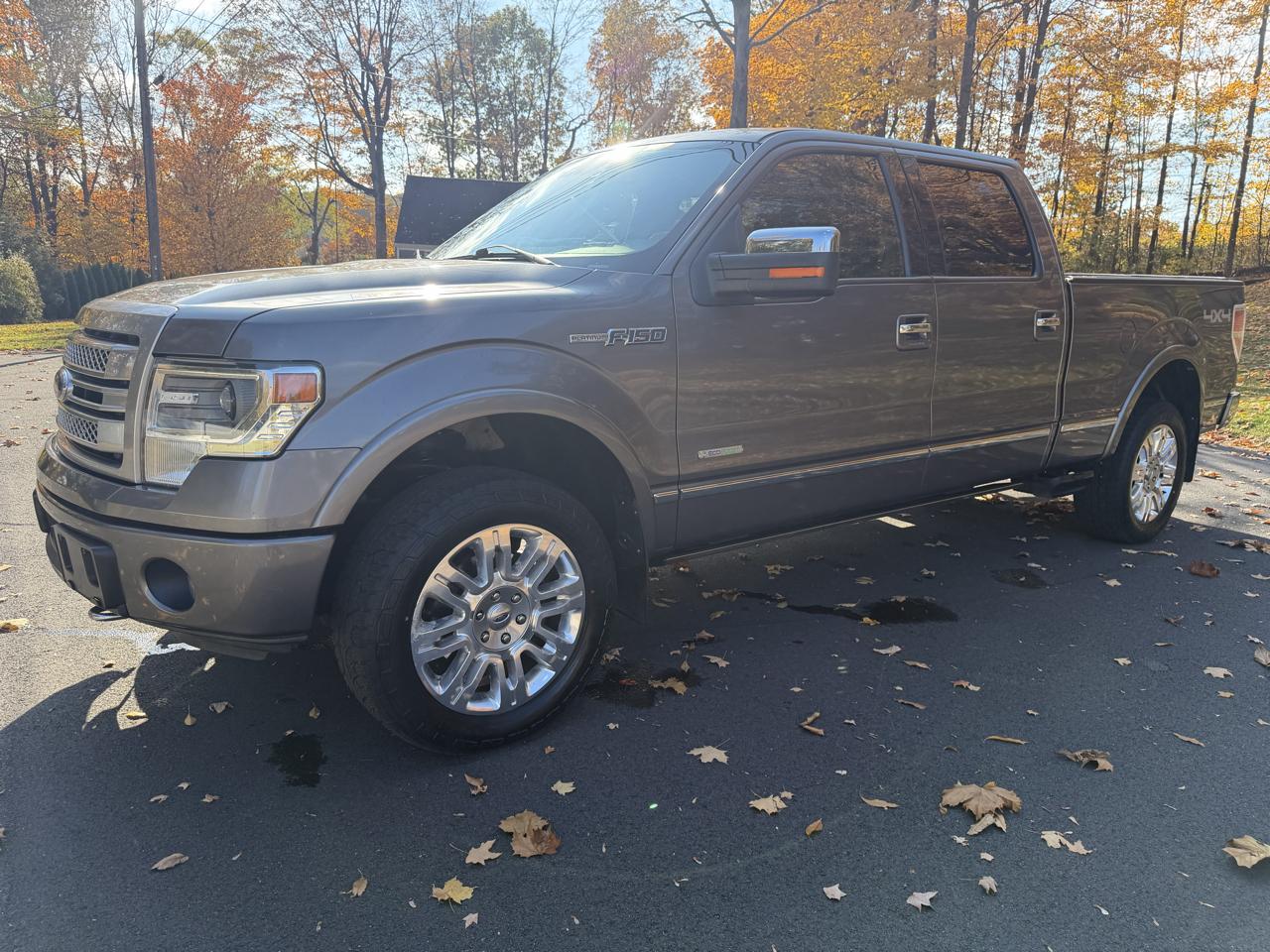 Ford F-150 4WD SuperCrew 145" Platinum 2014