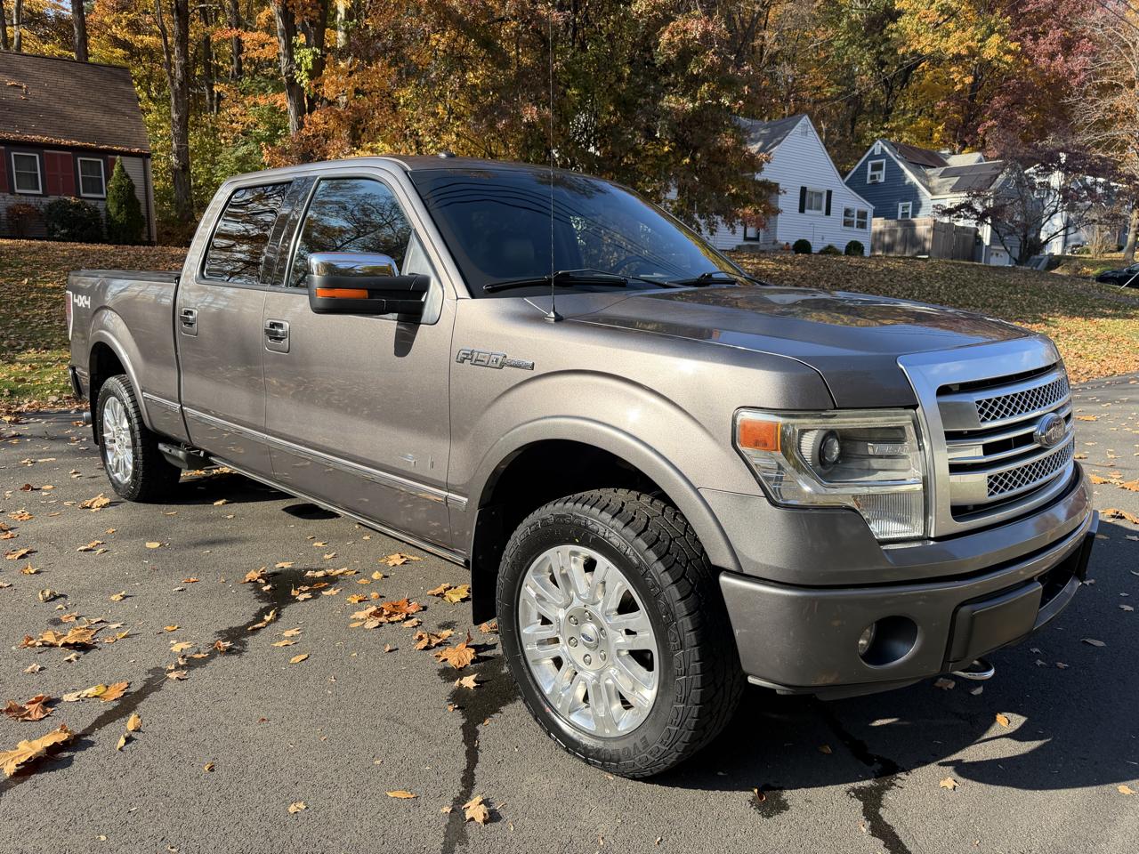 Ford F-150 4WD SuperCrew 145" Platinum 2014