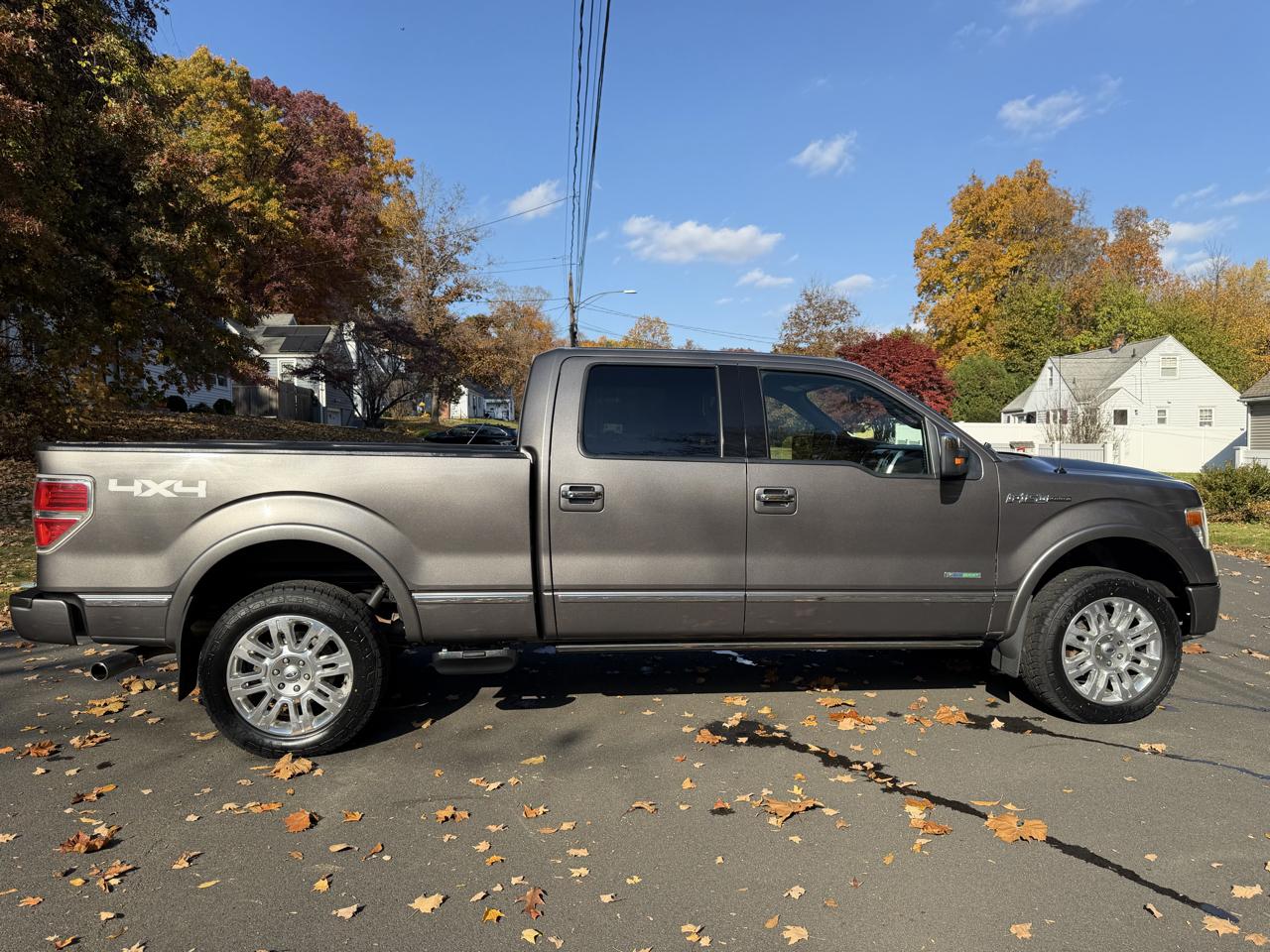 Ford F-150 4WD SuperCrew 145" Platinum 2014