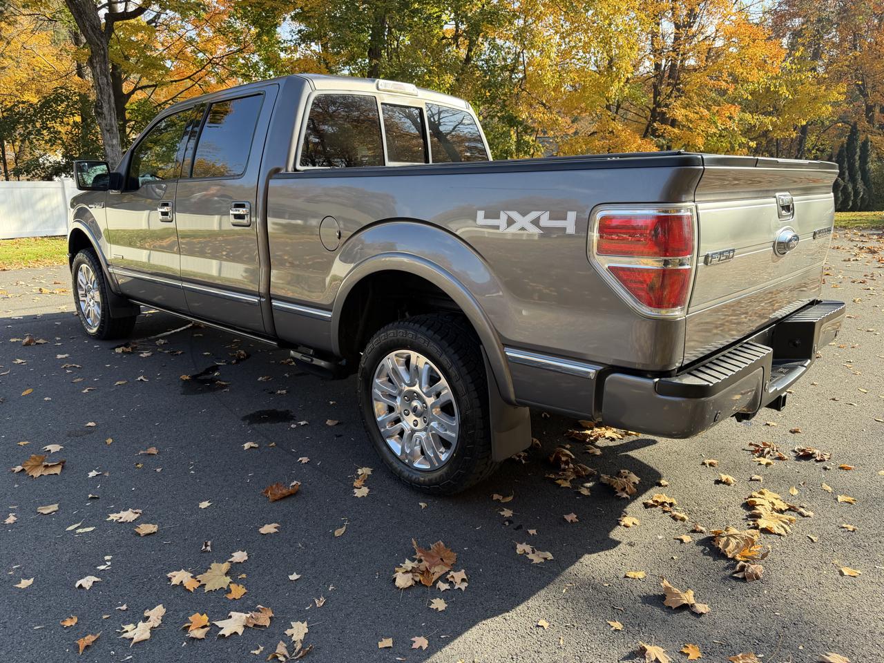Ford F-150 4WD SuperCrew 145" Platinum 2014