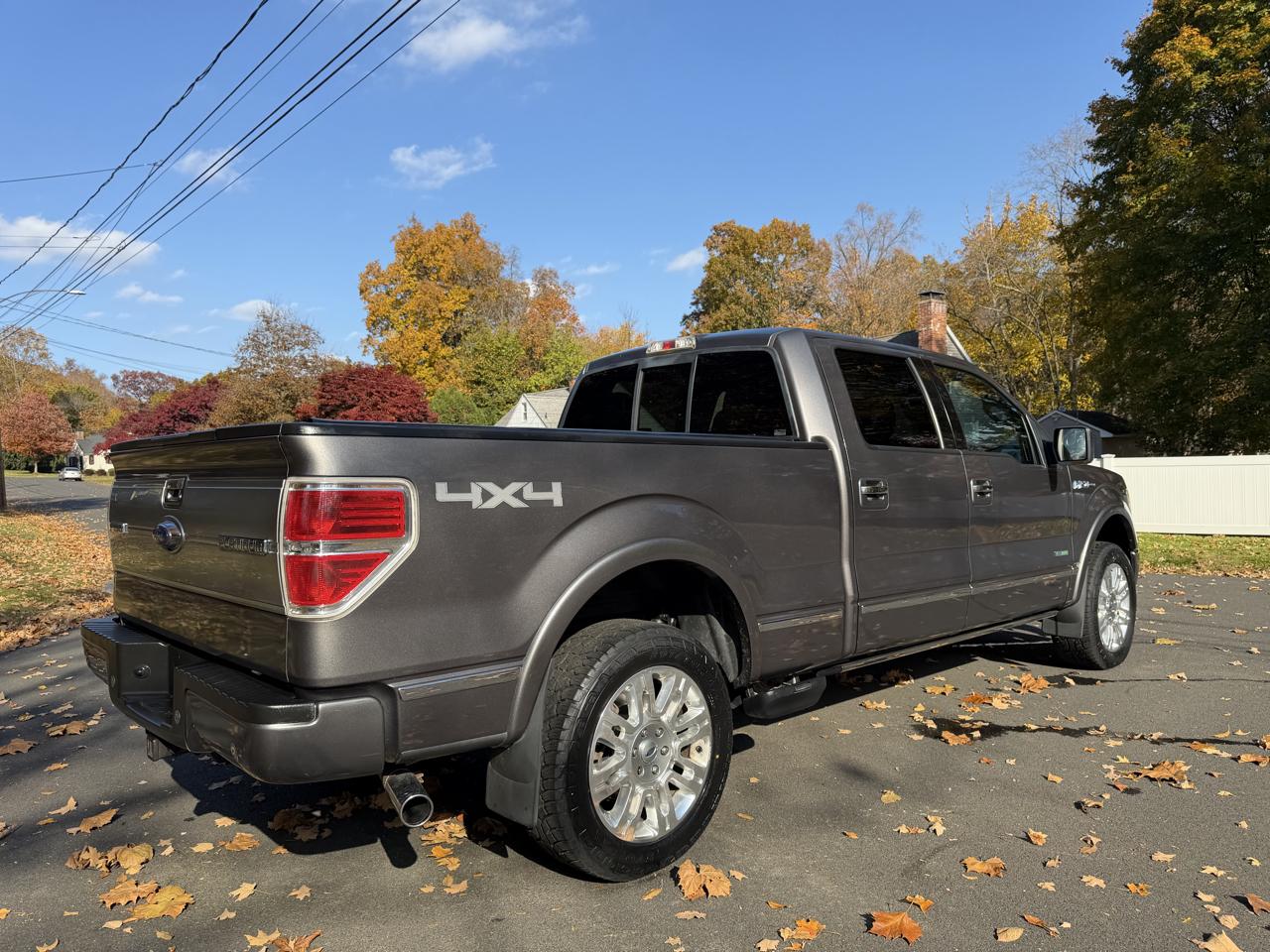 Ford F-150 4WD SuperCrew 145" Platinum 2014