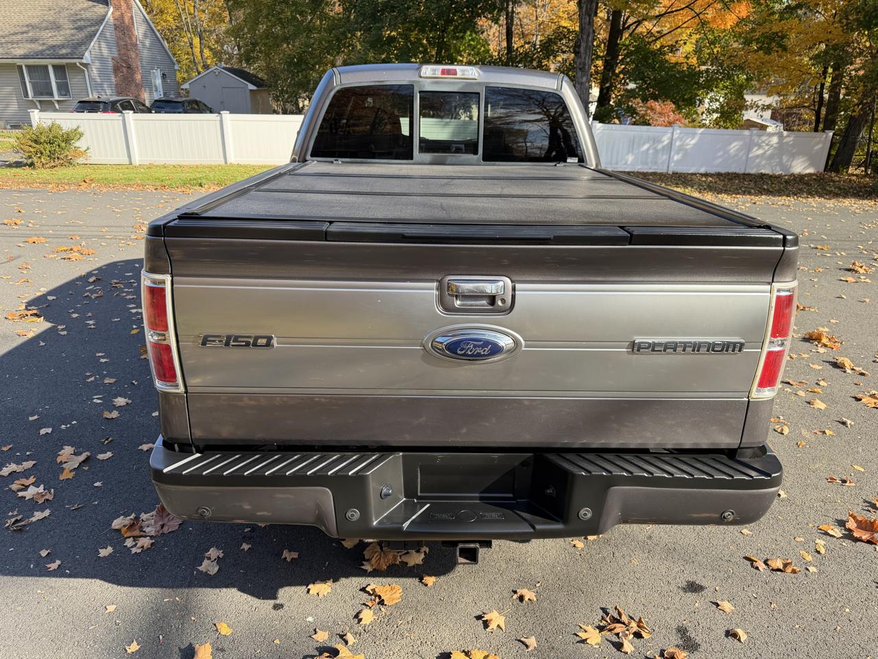 Ford F-150 4WD SuperCrew 145" Platinum 2014