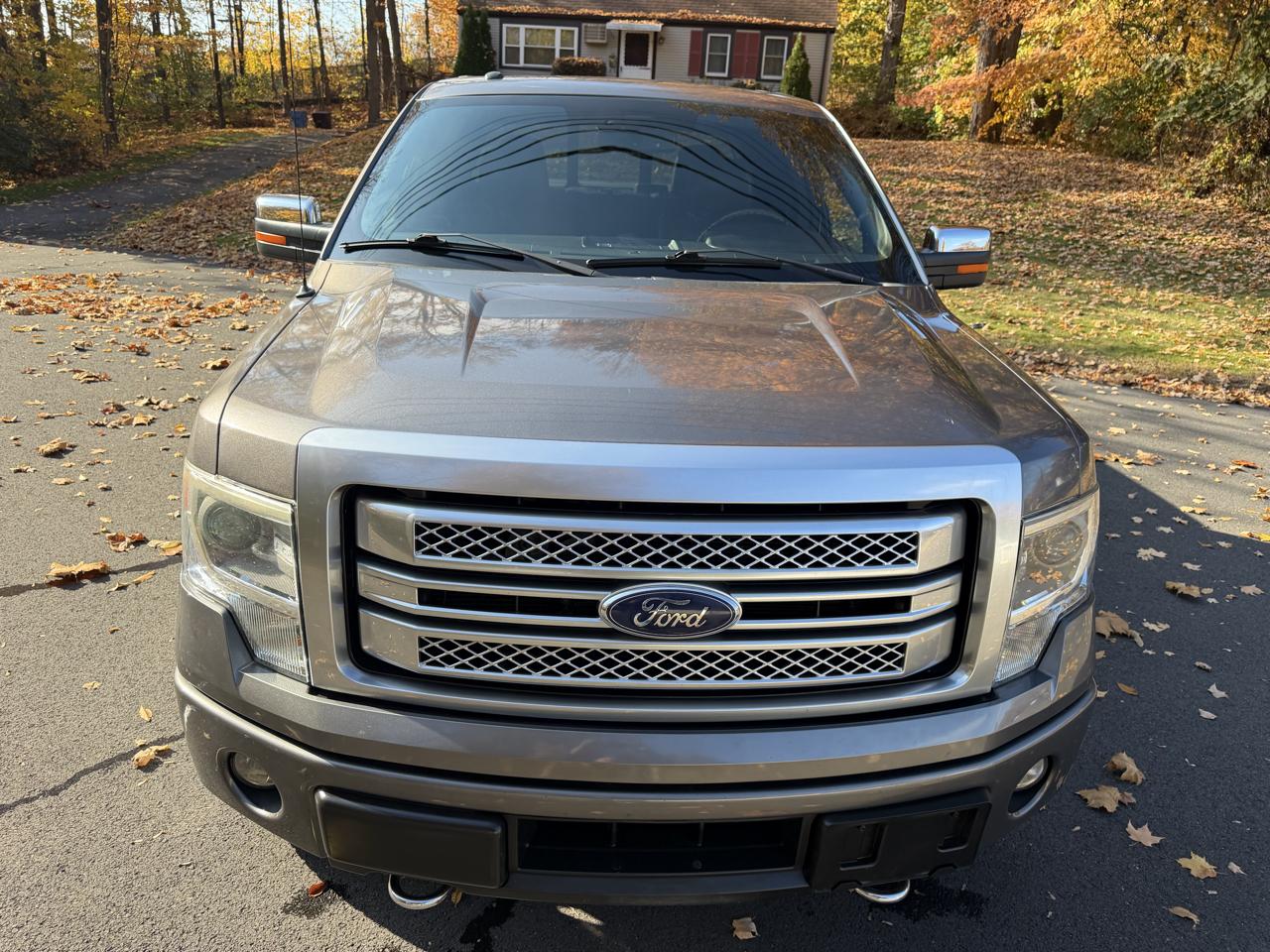 Ford F-150 4WD SuperCrew 145" Platinum 2014