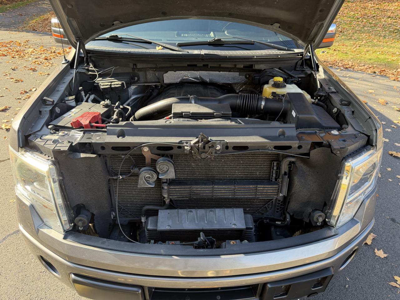 Ford F-150 4WD SuperCrew 145" Platinum 2014