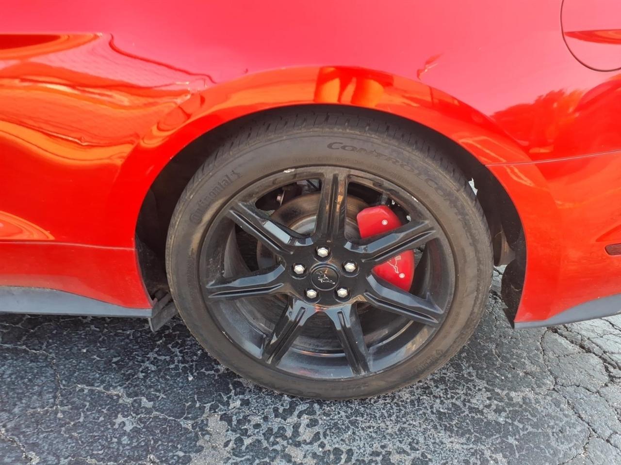 Ford Mustang  2019