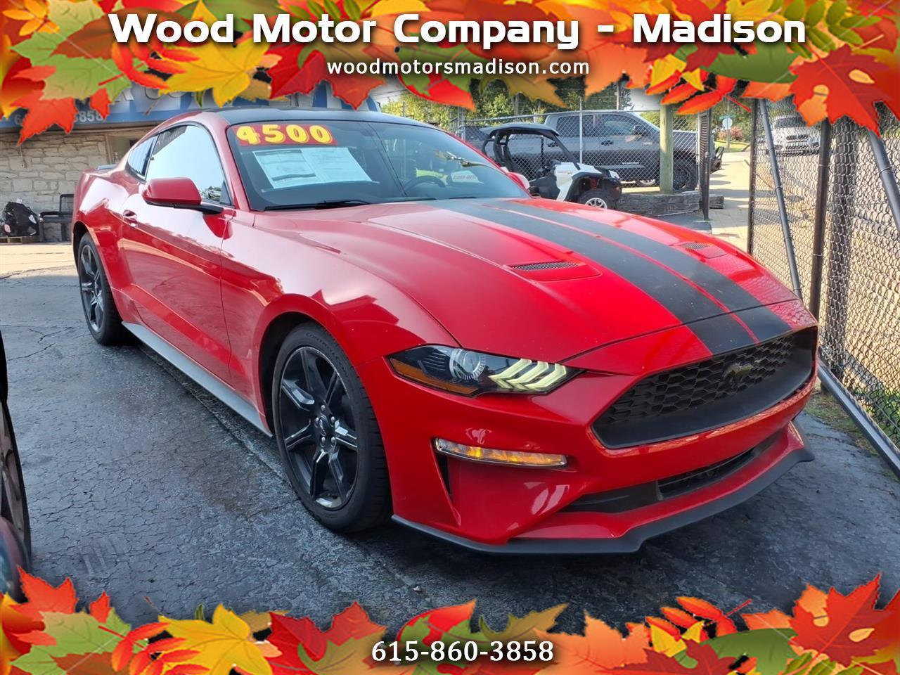 2019 Ford Mustang 