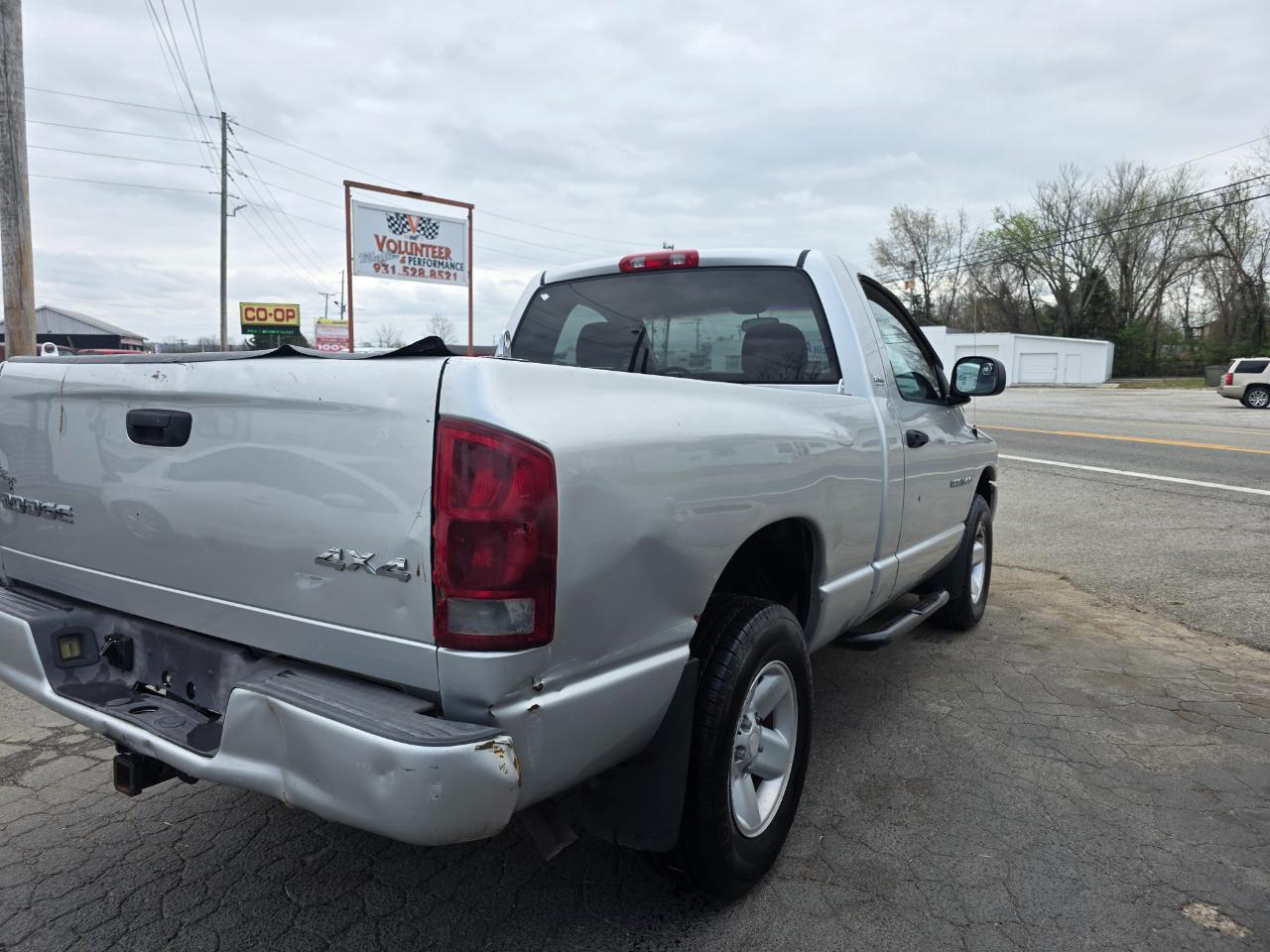 Dodge Ram 1500 2dr Reg Cab 120" WB 4WD 2002