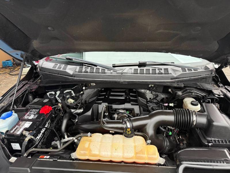 Ford F-150 XLT SuperCrew 5.5-ft. Bed 4WD 2018