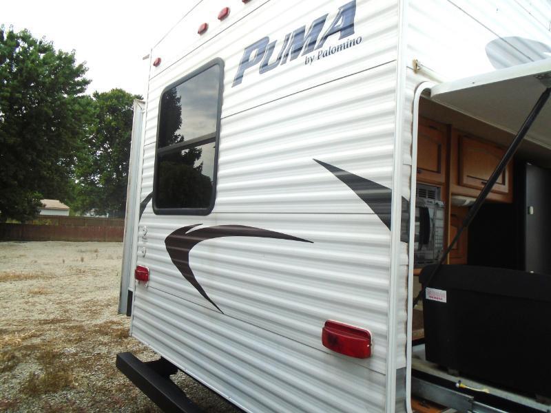 Palomino Puma  2010