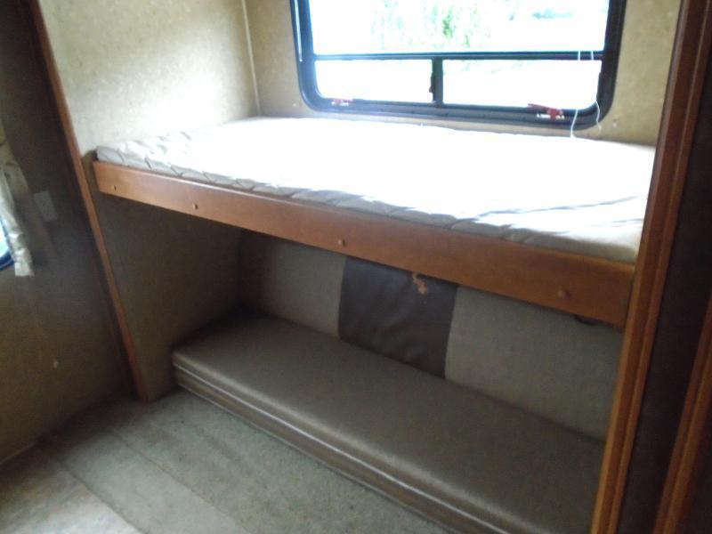 Palomino Puma  2010