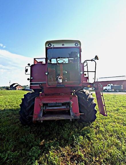 International 1460  1982