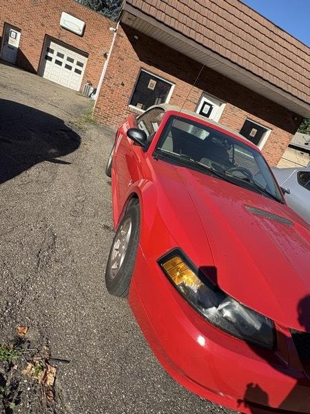Ford Mustang Deluxe Convertible 2002