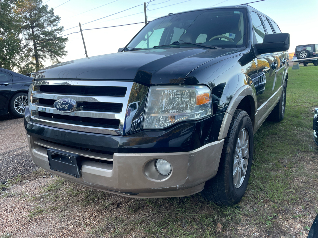 Ford Expedition King Ranch 2WD 2014 Ford Expedition King Ranch 2WD 2014