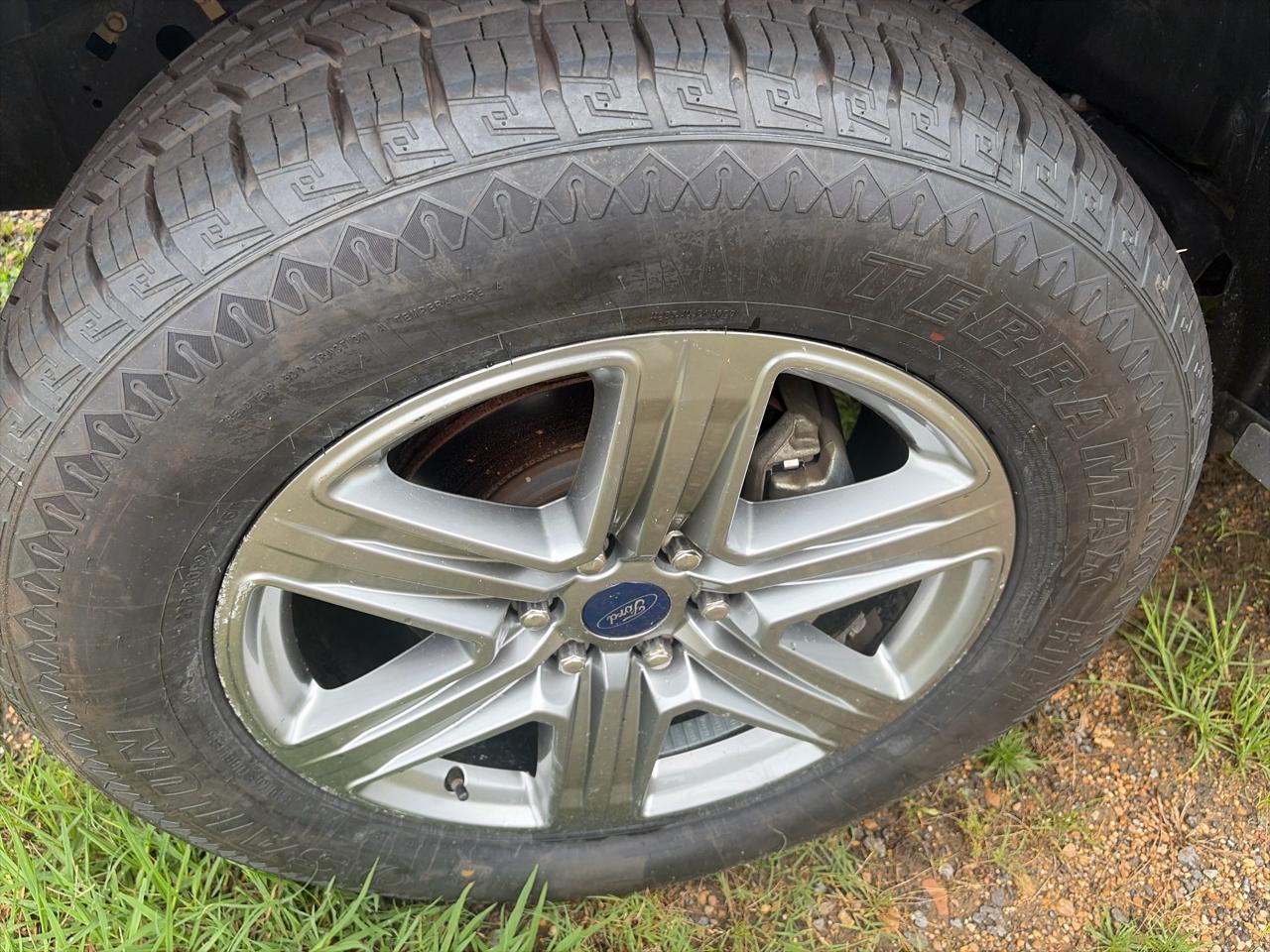 Ford F-150 XLT SuperCrew 6.5-ft. Bed 4WD 2019